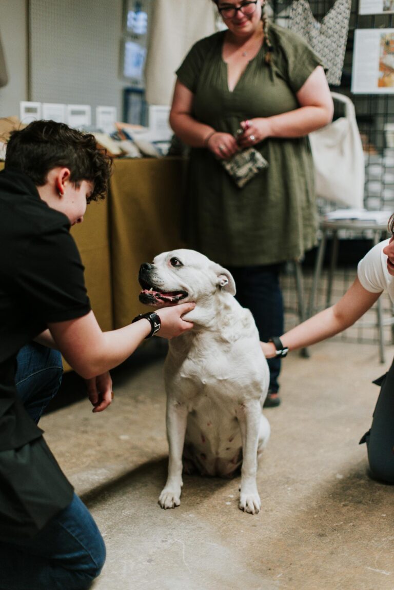 People engaging with a friendly dog indoors, showcasing companionship.